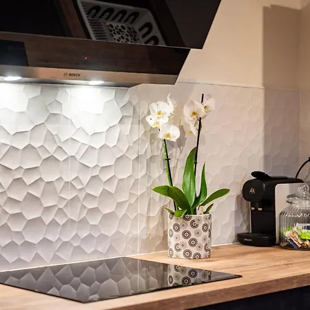 Duplex Plein Centre - 15 Pers - 200m2 600m ! *