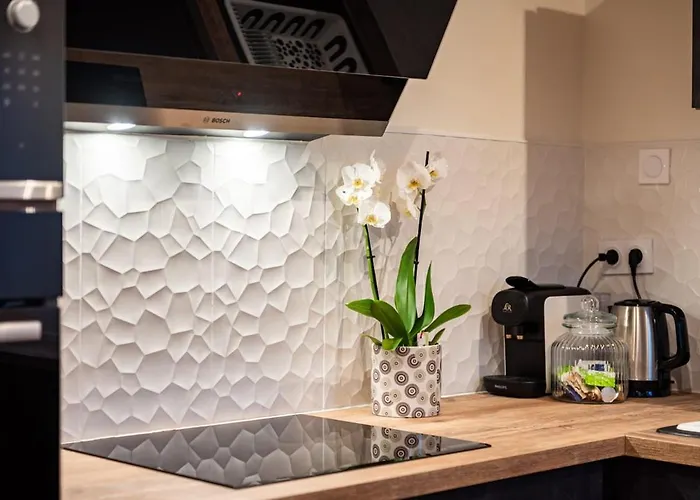 Duplex Plein Centre - 15 Pers - 200m2 600m ! *