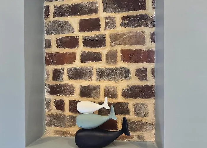 Apartment Magnifique Duplex Plein Centre Ville - 15 Pers - 200M2 - 600M Plage !